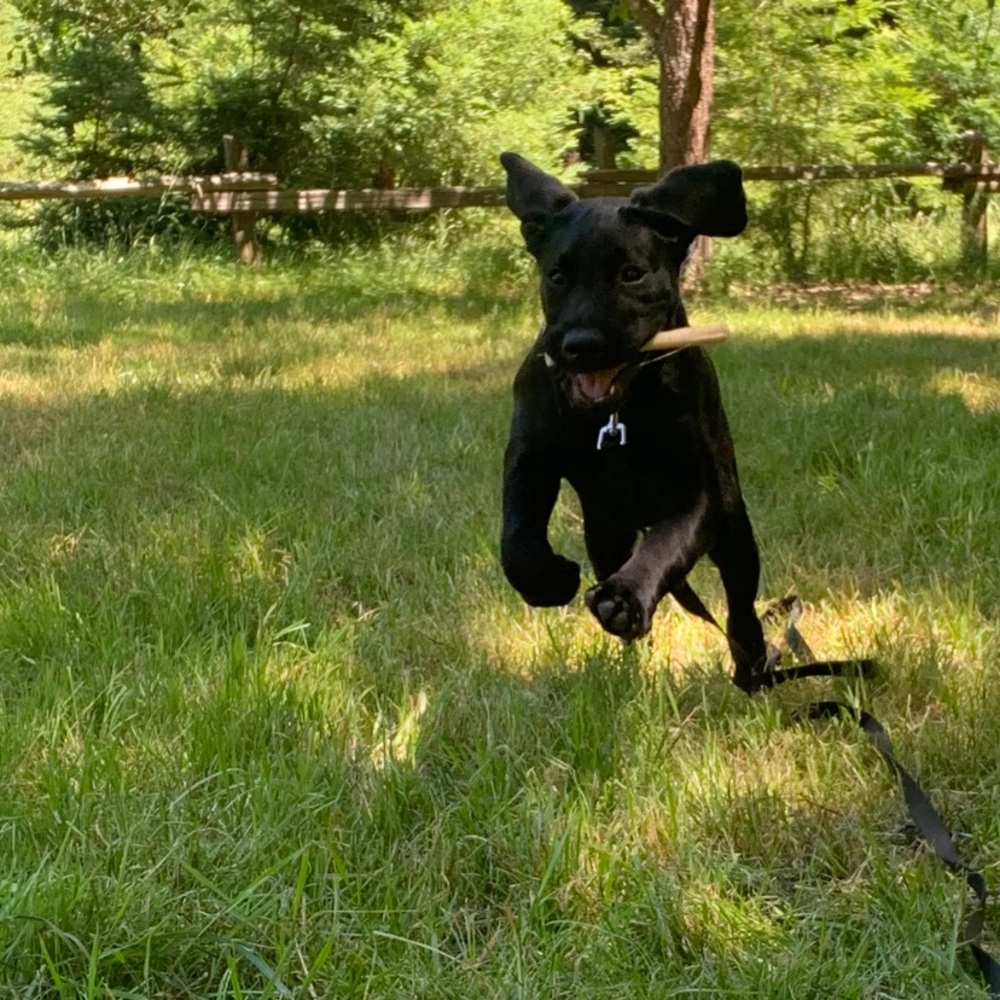 Orders are being shipped out tommorow!!!